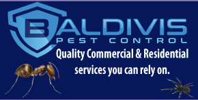 BALDIVIS PEST CONTROL - QUALITY COMMERCIAL & RESIDENTIAL SERVICES YOU CAN RELY ON.