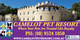 CAMELOT PET RESORT AFFORDABLE ELITE PET BOARDING KARNUP - TAKING BOOKINGS