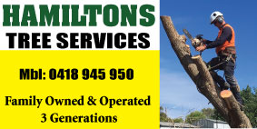 Hamilton's Tree Service Tree Services Mandurah FAMILY OWNED OPERATED EMERGENCY CALL OUTS