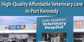 PORT KENNEDY VETERINARY HOSPITAL - Pet Grooming Rockingham