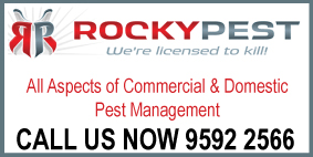 ROCKYPEST - HIGH QUALITY PEST MANAGEMENT SERVICES - AFFORDABLE TERMITE CONTROL OPTIONS